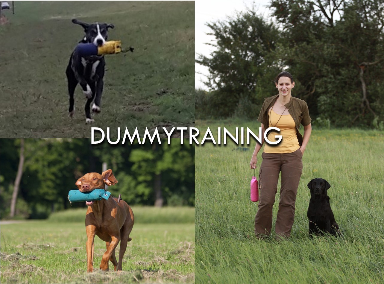 Dummytraining